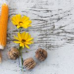 老王论坛:魔性吐槽引发的搞笑风潮 3akjm3l0xd