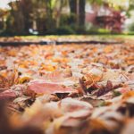 老王论坛入口:探索社区交流的最佳平台与资源分享 4scvzbmrlu