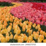 老男人游戏网PS3:重温经典游戏的乐趣与回忆 fsn820zb2