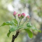 老王论坛当老王网址:探索老王论坛的精彩内容与社区互动 w7nzwe